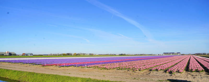 Callantsoog: jouw alternatieve Europese vakantiebestemming